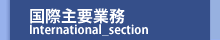 国際主要業務_international section